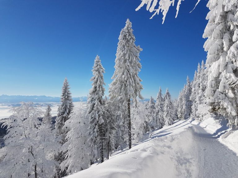 Zimowy Beskid Wyspowy