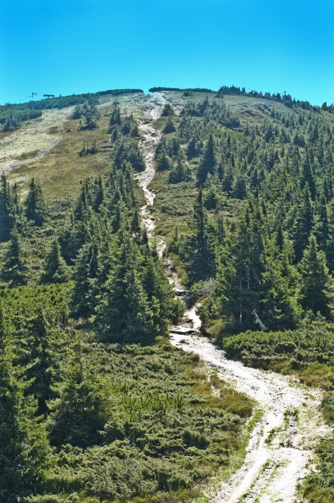 Beskid Żywiecki - Pilsko